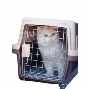 宠物航空箱猫咪外出便携包车载托运箱猫笼狗笼大中小型犬狗箱